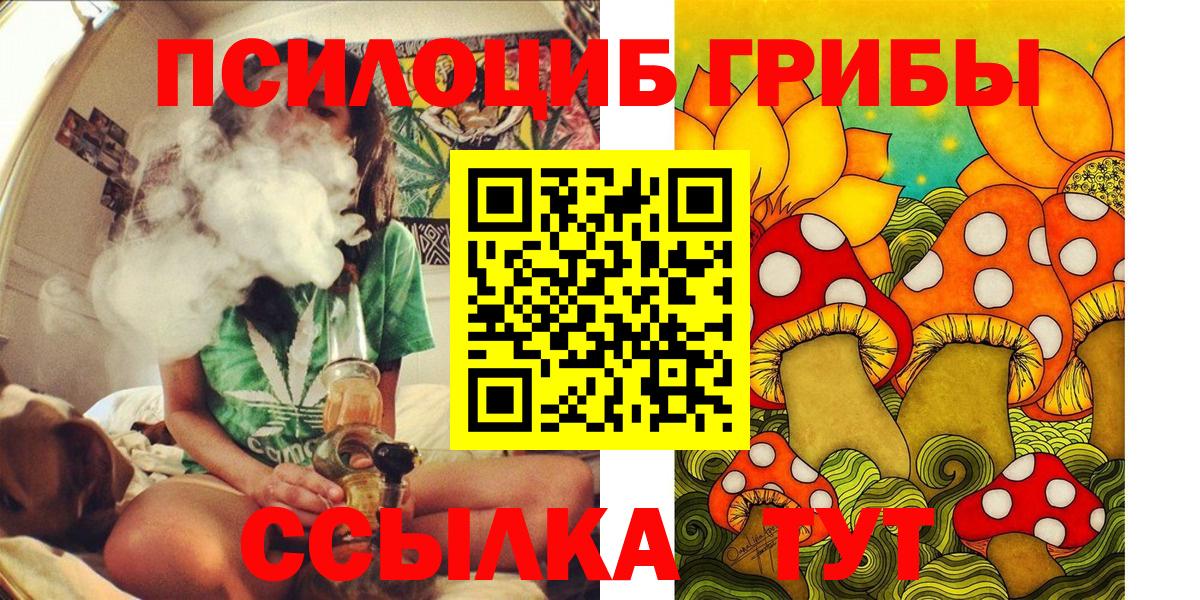 Костомукша  Псилоцибиновые грибы GOLDEN TEACHER  Вход с VPN 