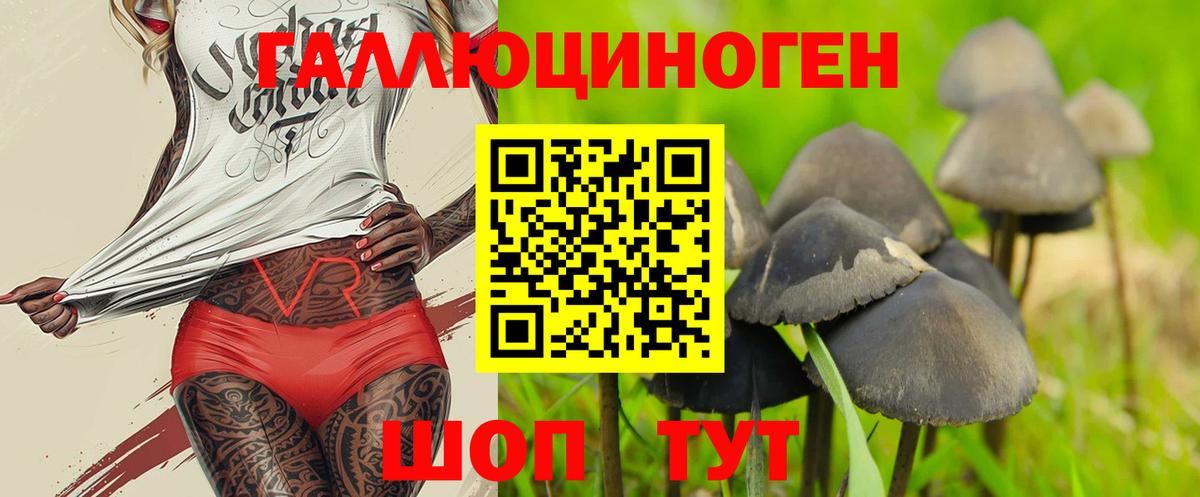Галлюциногенные грибы мицелий Костомукша