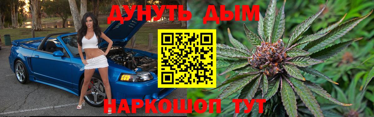 Бошки Шишки планчик  Вход с VPN  Шишки марихуана семена  Каннабис THC 21%  Канабис Bruce Banner  Костомукша 